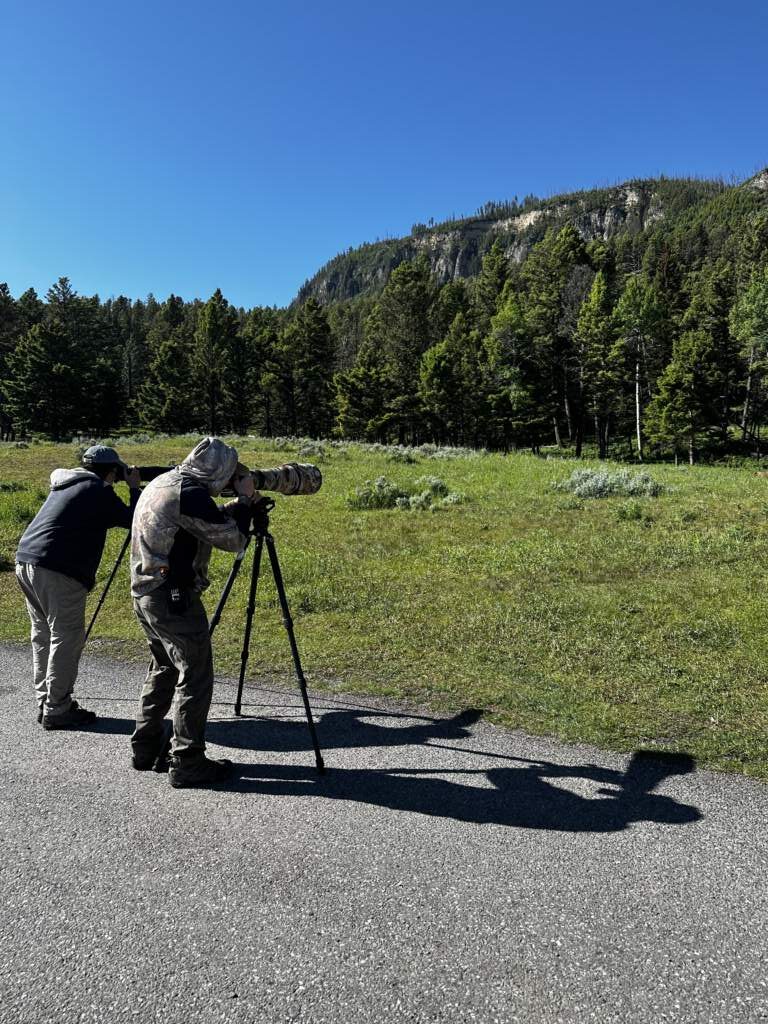 En Yellowstone, la gente va Supreme equipada para ver a os animales, como estas dos personas