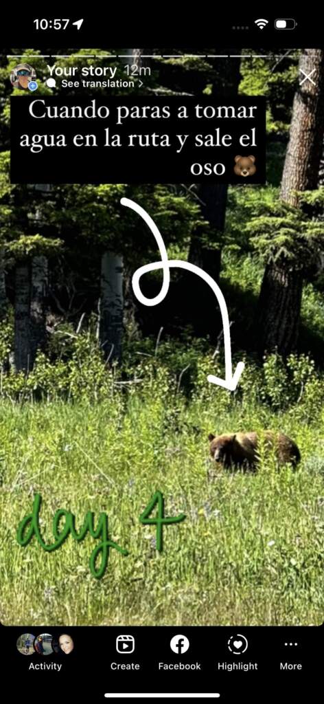Y vimos osos. nada mas llegar a Yellowstone, en nuestro desde Seattle; tuvimos suerte !