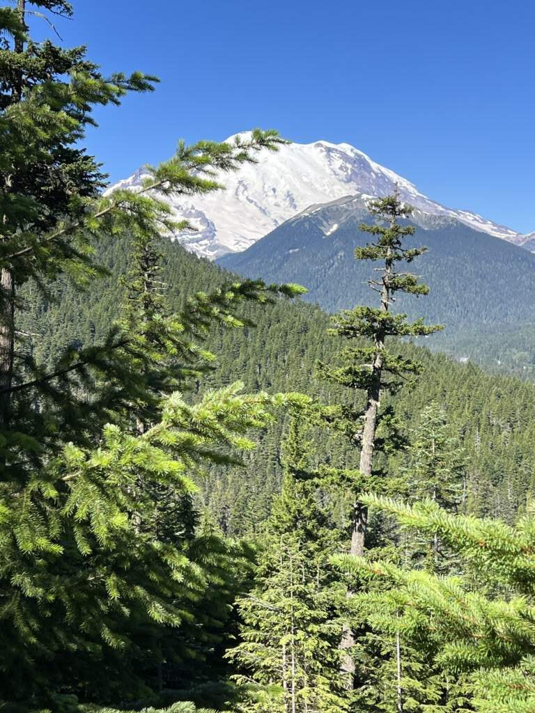 El Monte Rainer, a las afueras de Seattle, en el parque natural de su nombre