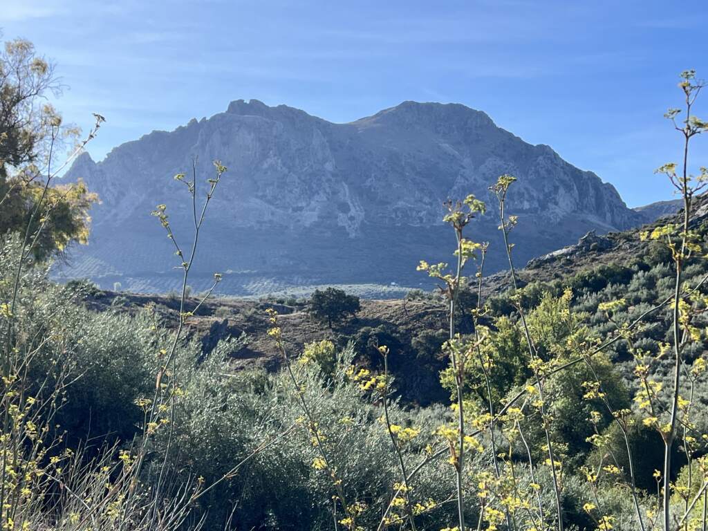 Yendo por la sierra hacia Jaen a la altura de Cañete, un espectáculo de ruta