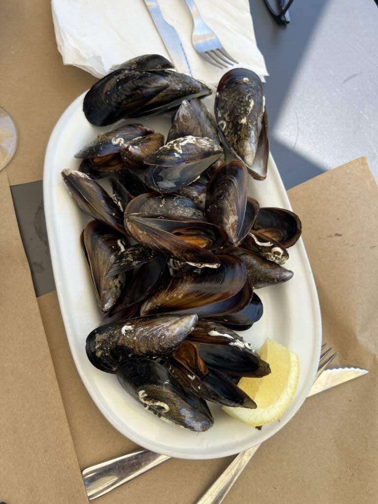 Mejillones en Serre, los primeros que tomamos buenos , se gnu ello, debido a la salinidad del agua