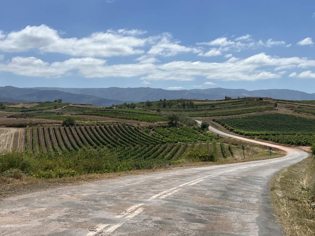 La Ribera del Duero, tierra de vinos