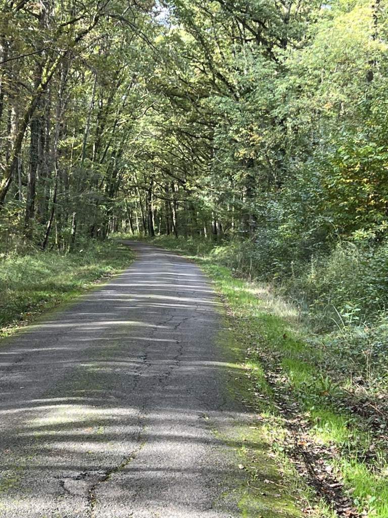 Un poco límite cuando ya ves verde en el medio dela carretera, que además estaba un poco cortada.cerca de St Serotin sentido España