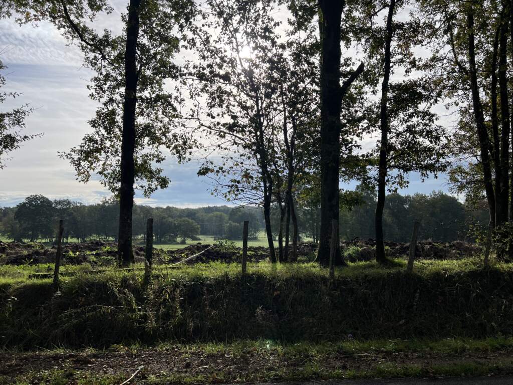 En mitad de la campiña francesa, en un lugar olvidado, te paras a hacer la foto, apagas a Lola y el silencio es absoluto. Piensas ... y si se me rompe la moto aquí, que hago??