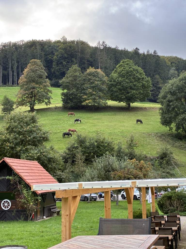 La terraza del hotel landmann, nuestro destino en la Selva Negra, donde por la tarde venían unos caballos a estar en los prados.