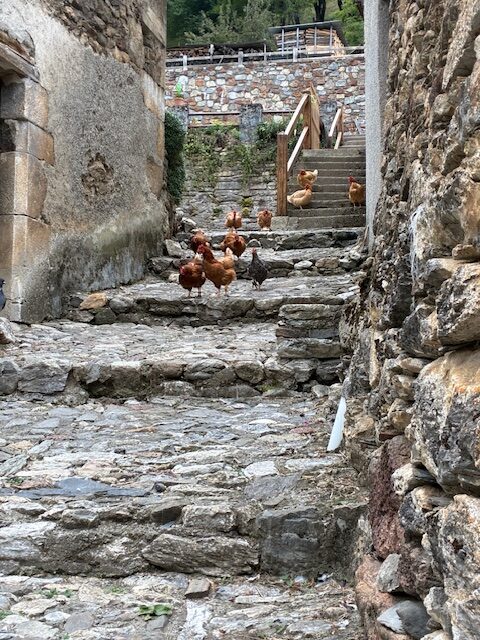 En Bourg D'Oueil, con unas 10 o 12 personas, y un montón de gallinas que iban bajando las escaleras, ne los Pirineos franceses, en su estacionalidad de esquí