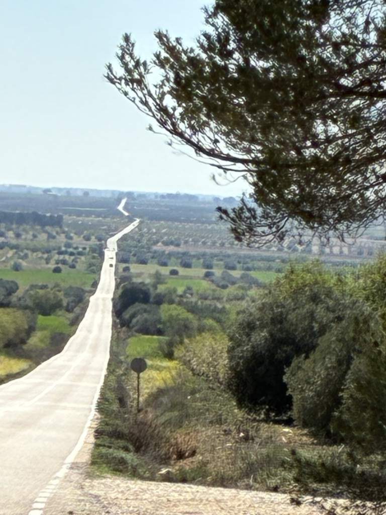 Largas rectas, rodeadas de verde por todos los lados; hacia llovido mucho por la zona de Villanueva de Córdoba