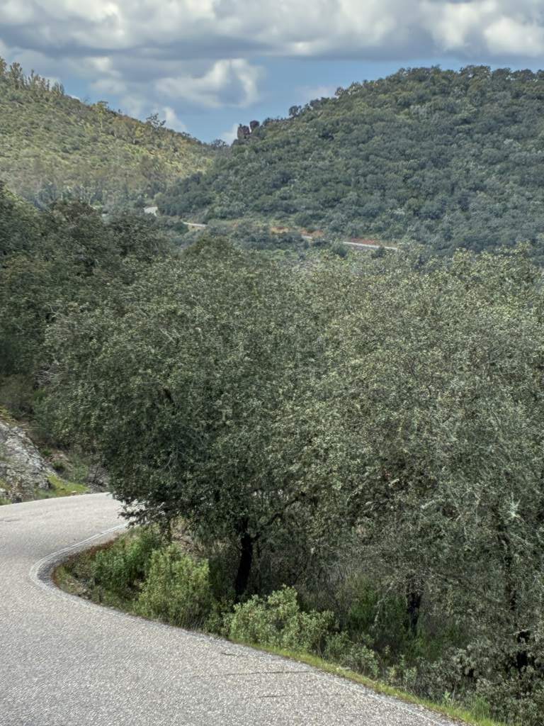 Estas fotos me gustan ya que muestras las curva de la carretera y su vegetación, cerca de Almonaster la Real