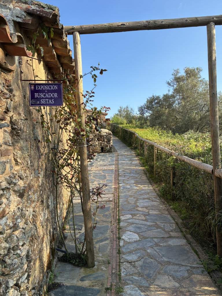 Un paseo cerca de Almonaster la Real, donde te puedes perder entre sus calles, en Sierra Morena