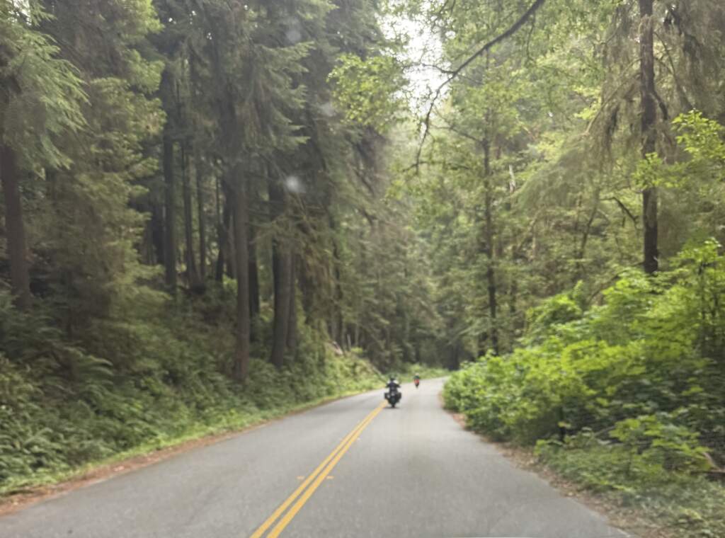 Vista del viaje en Redwoods, lo que se siente yendo en moto por estas carreteras