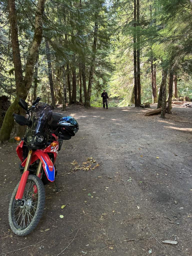 Esta foto muestra como era la carrera, un bosque cerrado con una carretera con curvas en medio